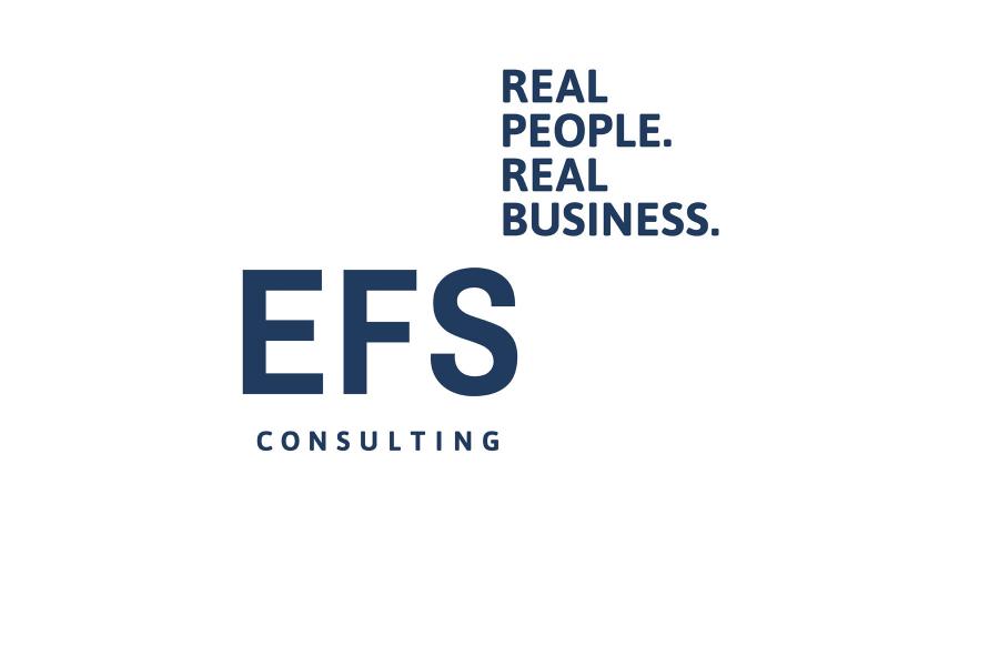 EFS Consulting, Logo